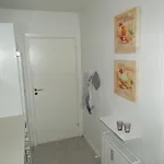 Give City Apartments